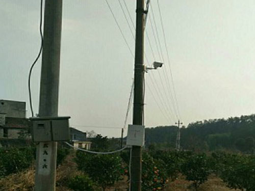 瀏陽(yáng)多友園沃柑基地安裝無(wú)線(xiàn)高清視頻監(jiān)控系統(tǒng)